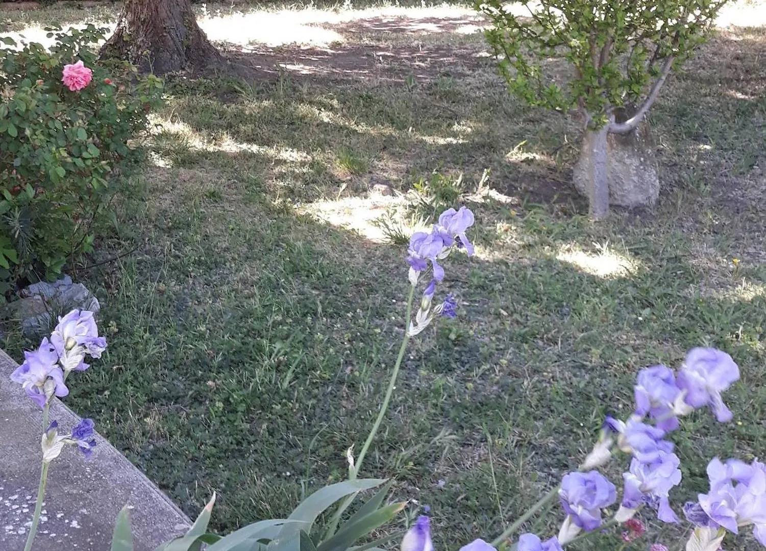 Holiday home Gite En Provence Istres